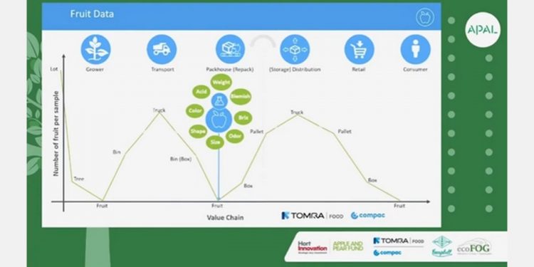Analysing fruit data in the supply chain has never been more important for business efficiency