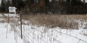 Inventory to be taken on lands for industrial development in Peterborough County