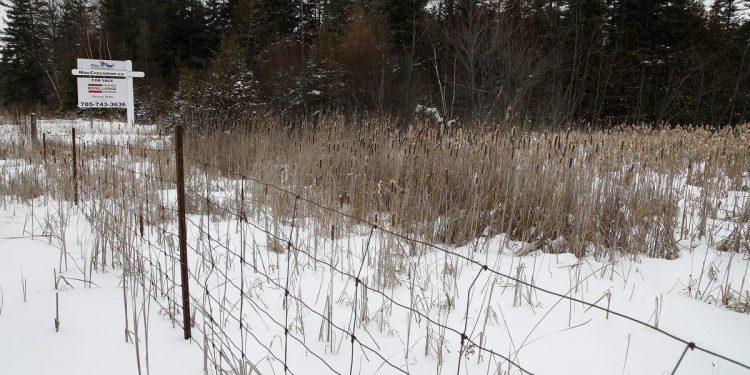 Inventory to be taken on lands for industrial development in Peterborough County