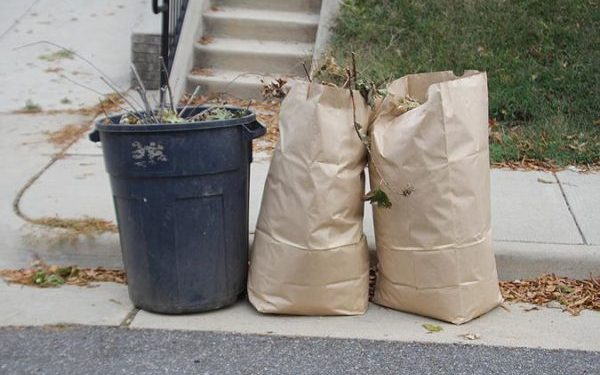 Plastic Bags Are Out and Paper Is In for Yard Waste, Fairfax County Says