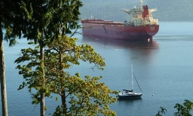 Findings from investigation into cargo ship collision worries Southern Gulf Islands residents