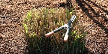 Temporary Changes to Arcata's Green Waste Drop-off Service – North Coast Journal
