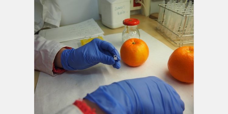 Markers revolutionize the procurement, registration, nurseries, and varietal identification of the citrus sector
