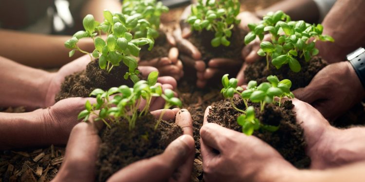 Tom Vilsack faced the Senate today. But tomorrow he must re-align our public agriculture with the public good.