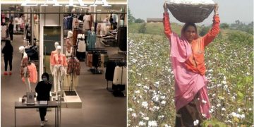 DBS launches organic cotton procurement financing programme with Zara owner, Banking News & Top Stories