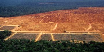 Countries sign up to new COP26 sustainable supply chain drive