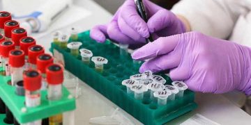 Restoring trust in the Covid-19 supply chain market – Gadget