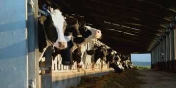 New Code of Conduct to ensure a fairer dairy supply chain