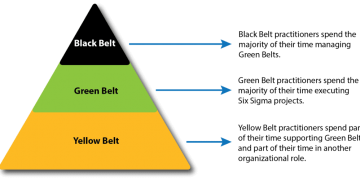 Which Six Sigma Belt Do You Have?
