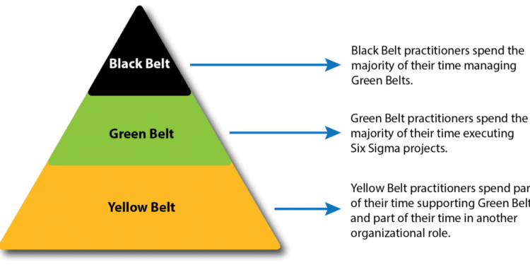 Which Six Sigma Belt Do You Have?