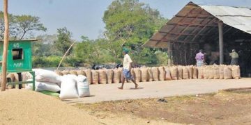 Is this the last straw? Farmers allege delay in procurement by DPCs- The New Indian Express