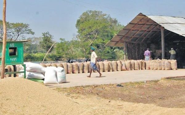 Is this the last straw? Farmers allege delay in procurement by DPCs- The New Indian Express