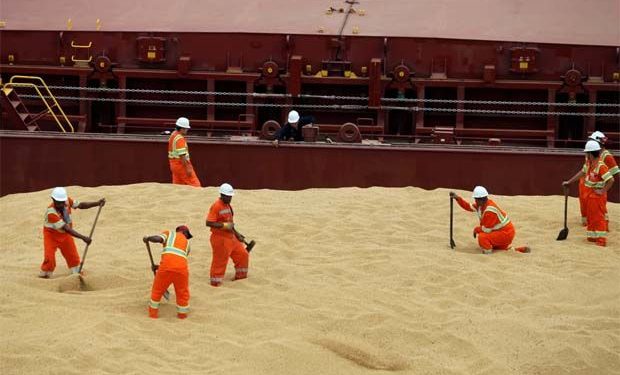 Insight – Commodity shipping rates are surging and the rally isn’t over