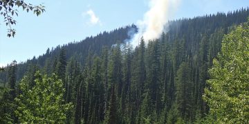 Trestle Creek fires have burned 67 acres