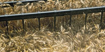 U.S. crop inventories take roller-coaster ride