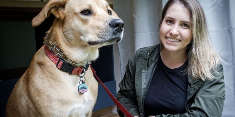 Becoming a ‘vanlifer’: Cori Geiger bought a cargo van and transformed it into this home and workspace for a life on the road