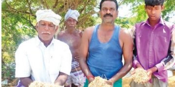 Slow procurement, rains damaging paddy: Ryots