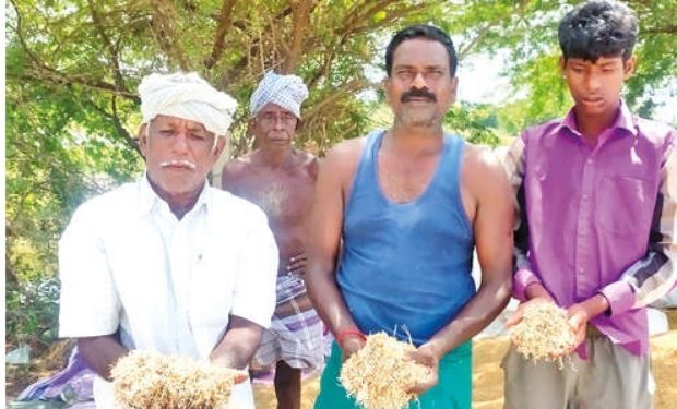 Slow procurement, rains damaging paddy: Ryots