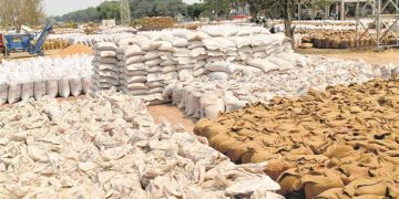 Punjab beats MP in wheat procurement : The Tribune India