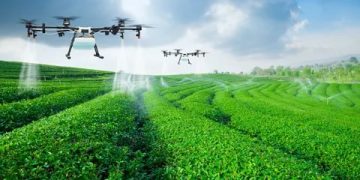 Agricultural E-commerce Market 2021 Strategic Assessment- Amazon, Alibaba Group, JD.com Company, Yihaodian, COFCO Group, SF Express – Rust Wire