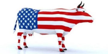 Broad-based demand growth fuels US beef exports to record highs