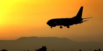 Ex-LAX Cargo Handlers Plead in Gold Bar Thefts – NBC Los Angeles