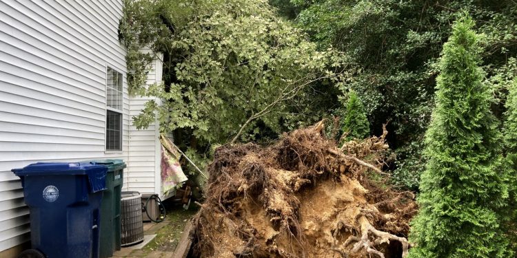2 tornadoes hit N.J. overnight during Tropical Storm Elsa, officials say