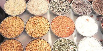 Maharashtra: One day bandhs, stalled procurement, letters to Centre: traders protest stock limits on pulses