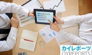 Supply Chain Risk Management Market Strategic Assessment & SWOT Analysis 2021-2028| Avetta, SAP Ariba, CURA Software Solutions, GEP
