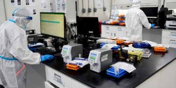 What happens to a PCR test sample when it is examined for COVID-19 in UAE?