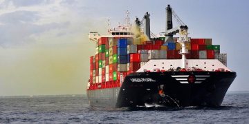 Sri Lanka Confronts Environmental Consequences of Cargo Ship Disaster