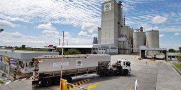 CP Foods commits to fighting deforestation across the supply chain