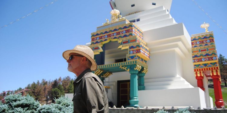 Thinning The Forest Saved Shambhala From Colorado’s Largest Wildfire. It Offers Lessons For Other At-Risk Places