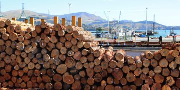 Locals Squeezed as Building Boom Exacerbates Timber Shortages