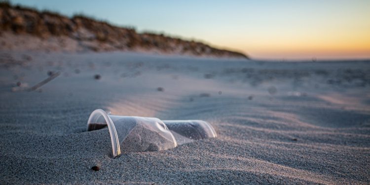 Single-Use Plastics Directive Comes into force
