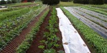 Supply Chain Recovery – AG INFORMATION NETWORK OF THE WEST – AGInfo Ag Information Network Of The West