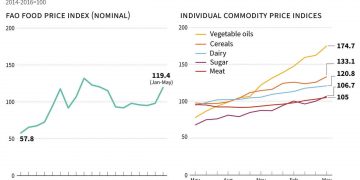World food prices, already inflated, skyrocket as freight costs climb