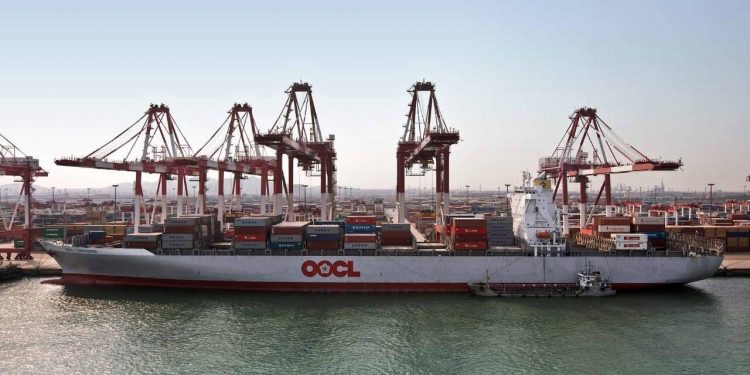 High shipping rates could increase inflation by 1.5%: IMF