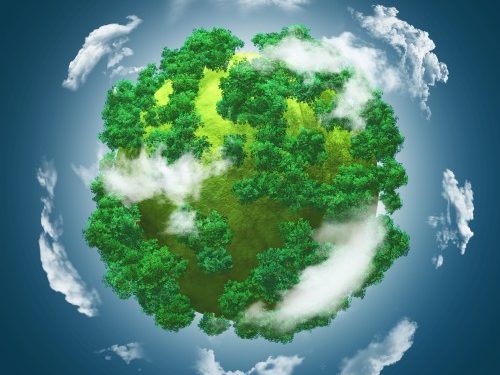 Charting the Path to a Greener Future Strategies to Reduce Carbon Footprint